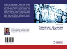 Buchcover von Production of Mesoporous Silica Particles: Calcination