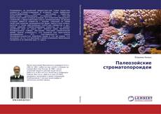 Buchcover von Палеозойские строматопороидеи