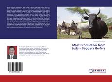 Copertina di Meat Production from Sudan Baggara Heifers