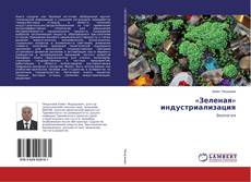 Copertina di «Зеленая» индустриализация