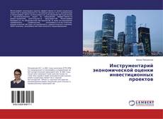 Copertina di Инструментарий экономической оценки инвестиционных проектов