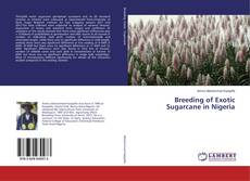 Copertina di Breeding of Exotic Sugarcane in Nigeria