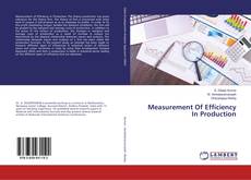 Copertina di Measurement Of Efficiency In Production