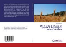 Copertina di Effect of Cd & SA Acid on Growth & Physiological Aspects of Wheat