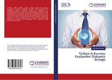 Copertina di Türkiye İş Kurumu Faaliyetleri (Eskişehir Örneği)