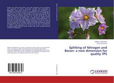 Copertina di Splitting of Nitrogen and Boron: a new dimension for quality TPS