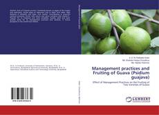 Copertina di Management practices and Fruiting of Guava (Psidium guajava)