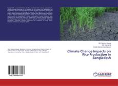 Copertina di Climate Change Impacts on Rice Production in Bangladesh