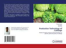 Production Technology of Cabbage kitap kapağı