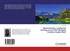 Copertina di Determining a preferred mining cut on the Multiple Carbon Leader Reef