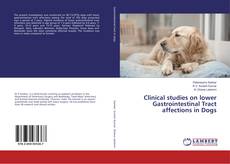 Copertina di Clinical studies on lower Gastrointestinal Tract affections in Dogs