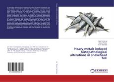 Copertina di Heavy metals induced histopathological alterations in snakehead fish