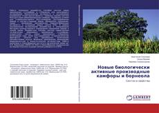 Copertina di Новые биологически активные производные камфоры и борнеола