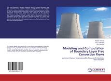 Buchcover von Modeling and Computation of Boundary Layer Free Convective Flows