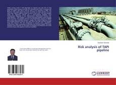 Copertina di Risk analysis of TAPI pipeline