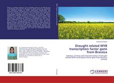 Copertina di Drought related MYB transcription factor gene from Brassica