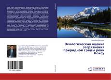 Copertina di Экологическая оценка загрязнения природной среды реки Коксу