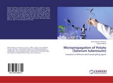 Copertina di Micropropagation of Potato (Solanum tuberesuim)