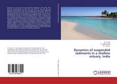 Buchcover von Dynamics of suspended sediments in a shallow estuary, India