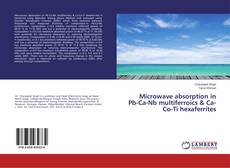 Copertina di Microwave absorption in Pb-Ca-Nb multiferroics & Ca-Co-Ti hexaferrites
