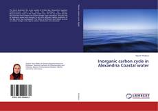 Copertina di Inorganic carbon cycle in Alexandria Coastal water