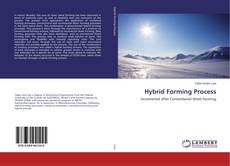 Buchcover von Hybrid Forming Process