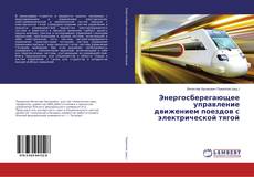 Copertina di Энергосберегающее управление движением поездов с электрической тягой