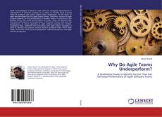Buchcover von Why Do Agile Teams Underperform?