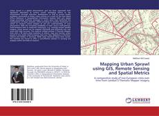 Copertina di Mapping Urban Sprawl using GIS, Remote Sensing and Spatial Metrics