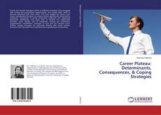 Copertina di Career Plateau: Determinants, Consequences, & Coping Strategies