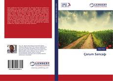 Buchcover von Çorum Sancağı