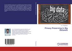 Copertina di Privacy Preserving in Big Datasets
