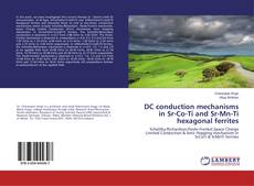 Copertina di DC conduction mechanisms in Sr-Co-Ti and Sr-Mn-Ti hexagonal ferrites