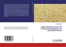 Copertina di High-Rate Bioreactor for Energy Production From Rice-Mill Effluent