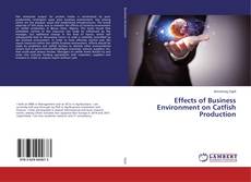 Copertina di Effects of Business Environment on Catfish Production