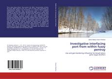 Buchcover von Investigative interfacing port from within fuzzy pentray