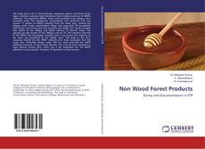 Bookcover of Non Wood Forest Products