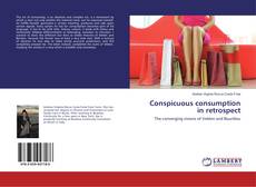 Copertina di Conspicuous consumption in retrospect