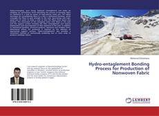 Copertina di Hydro-entaglement Bonding Process for Production of Nonwoven Fabric