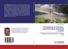 Copertina di Processing of mercury-contaminated industrial wastes