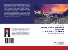 Buchcover von Модельно-правовые вопросы этнокультурализма
