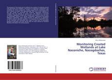 Copertina di Monitoring Created Wetlands at Lake Naconiche, Nacogdoches, Texas