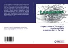Copertina di Organization of Functional Heads and TAM Interpretation in Turkish