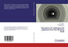 Copertina di Dynamics of underground pipeline from the flowing fluid