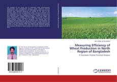 Copertina di Measuring Efficiency of Wheat Production in North Region of Bangladesh