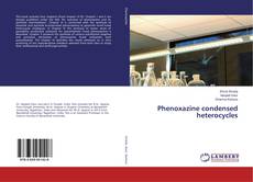 Buchcover von Phenoxazine condensed heterocycles
