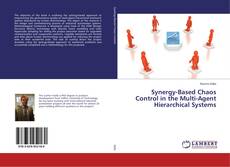 Buchcover von Synergy-Based Chaos Control in the Multi-Agent Hierarchical Systems