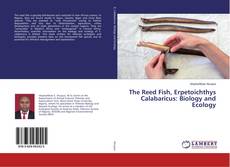 Buchcover von The Reed Fish, Erpetoichthys Calabaricus: Biology and Ecology