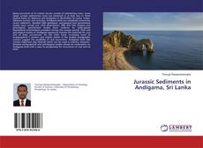 Обложка Jurassic Sediments in Andigama, Sri Lanka