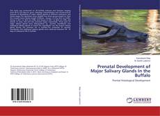 Borítókép a  Prenatal Development of Major Salivary Glands In the Buffalo - hoz